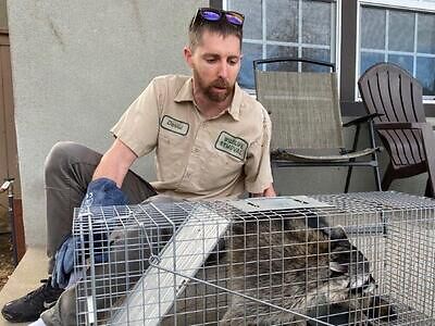 Charlotte pest control